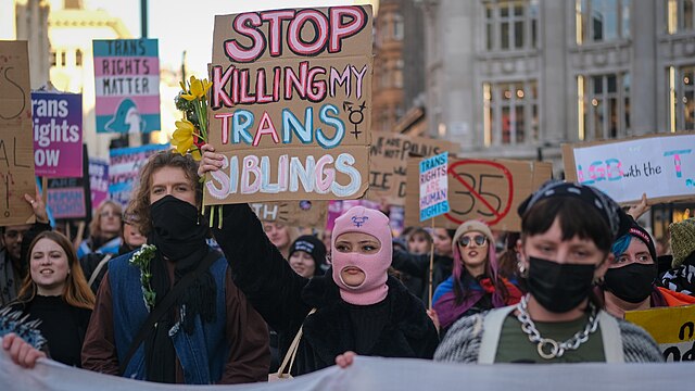 Revolutionary trans politics and the three way fight: an interview with rowan [ThreeWayFight]