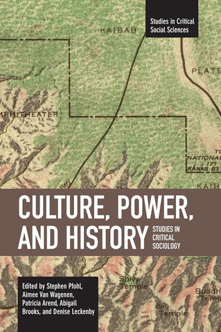 Culture, Power, and History: Studies in Critical Sociology