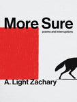 More Sure: poems and interruptions
