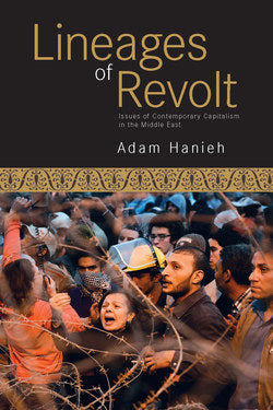 Lineages of Revolt: Issues of Contemporary Capitalism in the Middle East