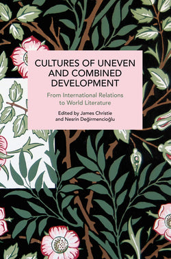 Cultures of Uneven and Combined Development: From International Relations to World Literature