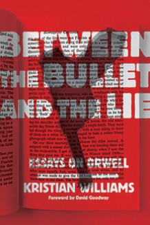 Between the Bullet and the Lie: Essays on Orwell