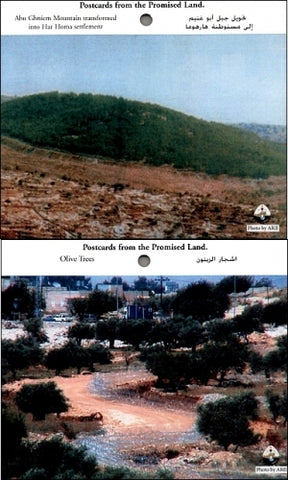 Postcards from the Promised Land: Olive Trees & Abu Ghneim becomes Har Homa
