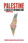 Palestine: A Socialist Introduction